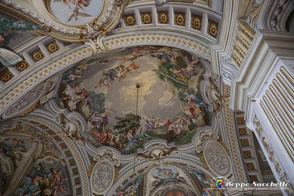 VBS_6036 - Sotto il Cervo - Palazzina di Caccia di Stupinigi.jpg